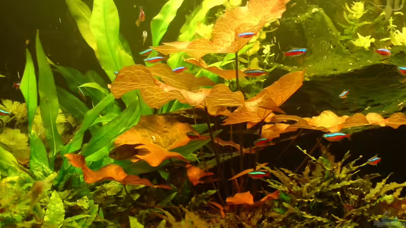  25.11.12 von Thorbenhendrik (20)