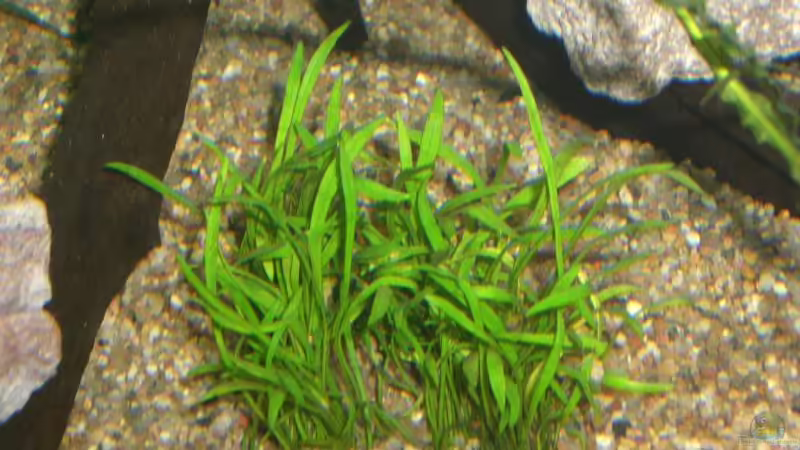 ?? 3 von Stephan Fehringer (10)