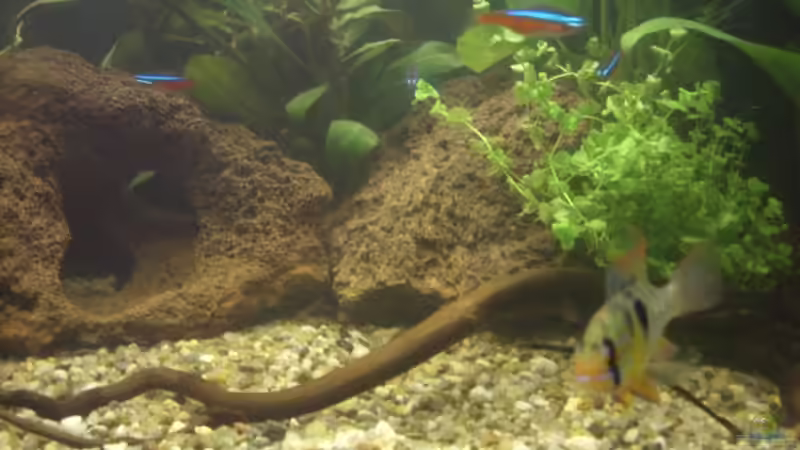 ? (4. Bild) von Mario H. (7)