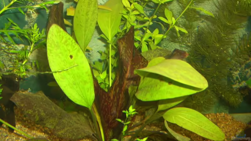 ?? 4 von Stephan Fehringer (12)