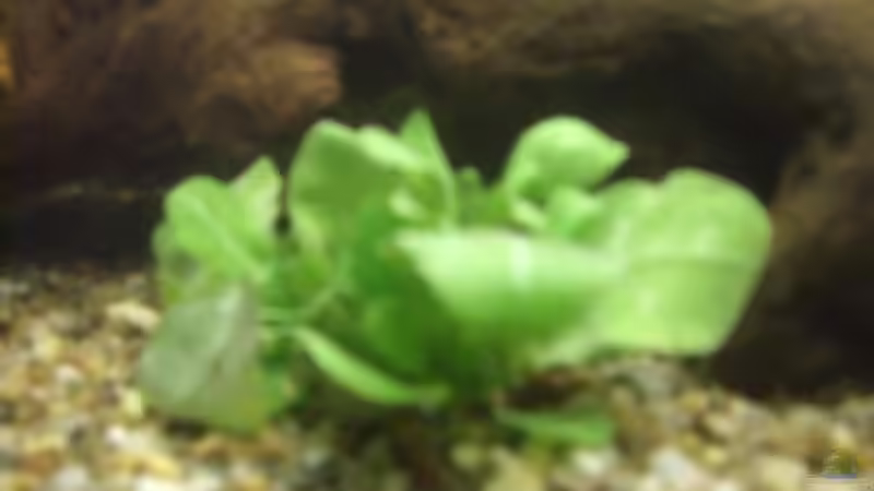 ? (5. Bild) von Mario H. (8)