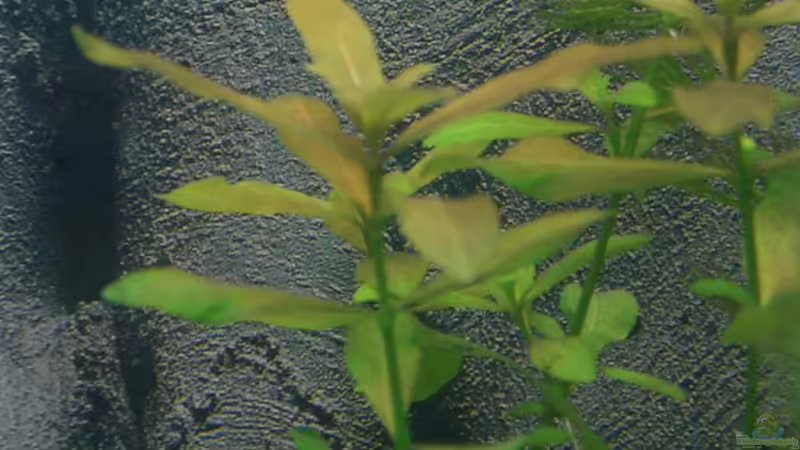 ?? 6 von Stephan Fehringer (14)