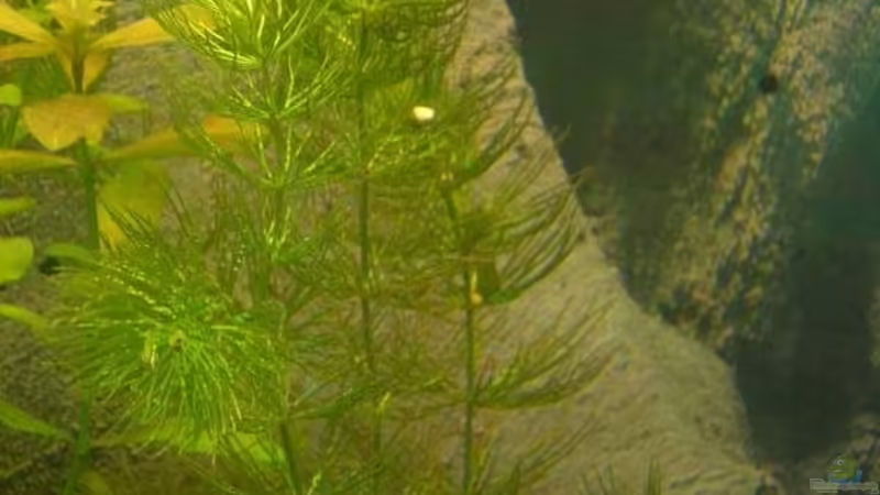 ?? 7 von Stephan Fehringer (15)