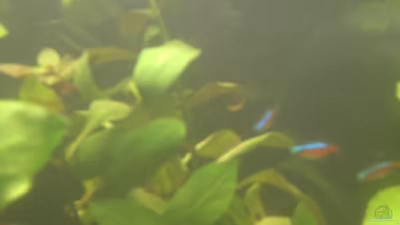 ? (8. Bild) von Mario H. (11)