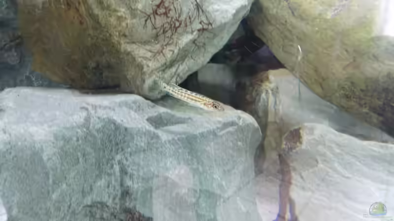  8.07.2012 von Pierre (19)