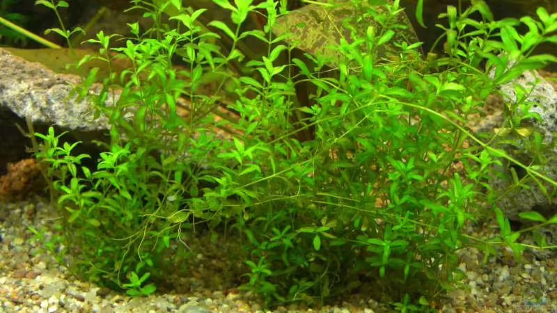 ?? 8 von Stephan Fehringer (18)