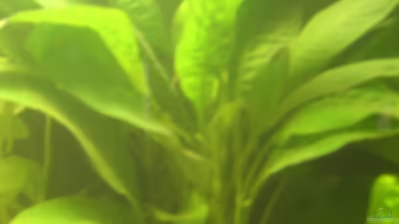 ? (9. Bild) von Mario H. (12)