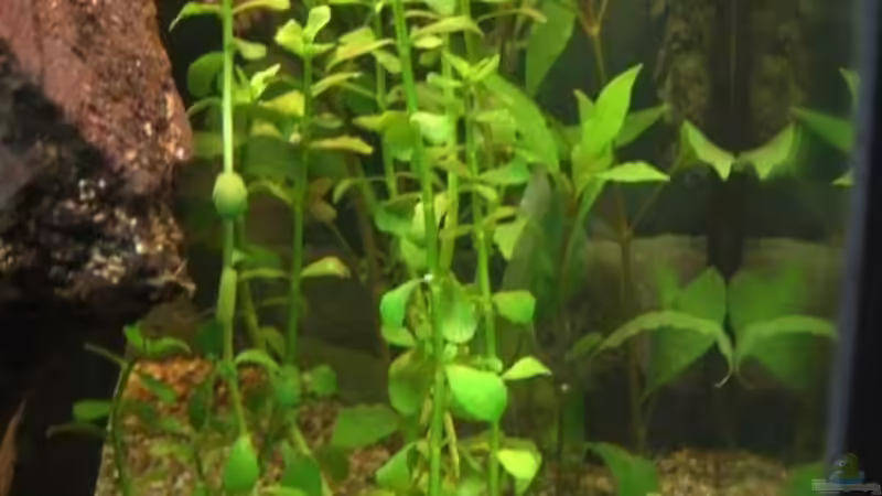 ?? 9 von Stephan Fehringer (19)