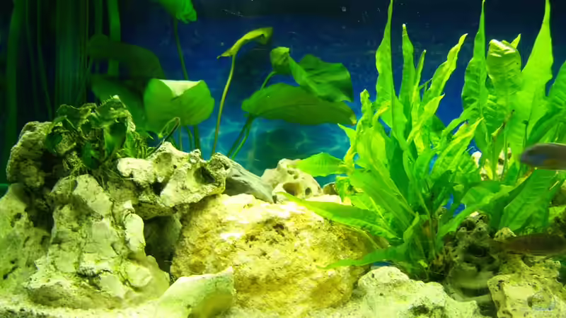  Alte Steinaufbauten von 47 Malawi (9)