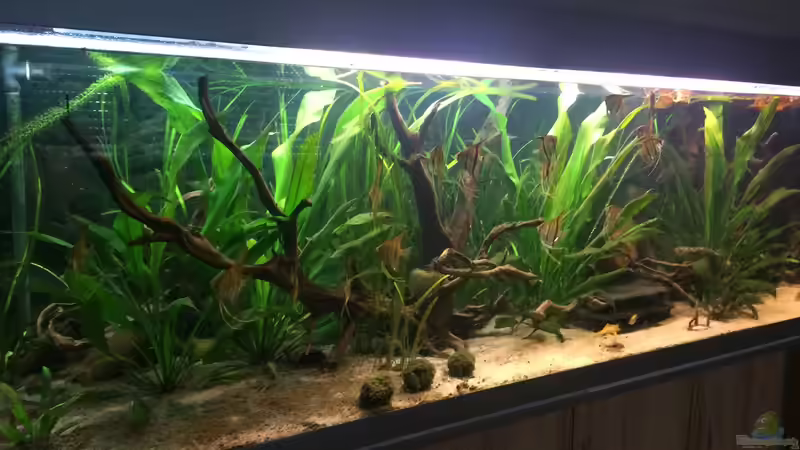  Angels Place ... von Marcus Lucke (1)