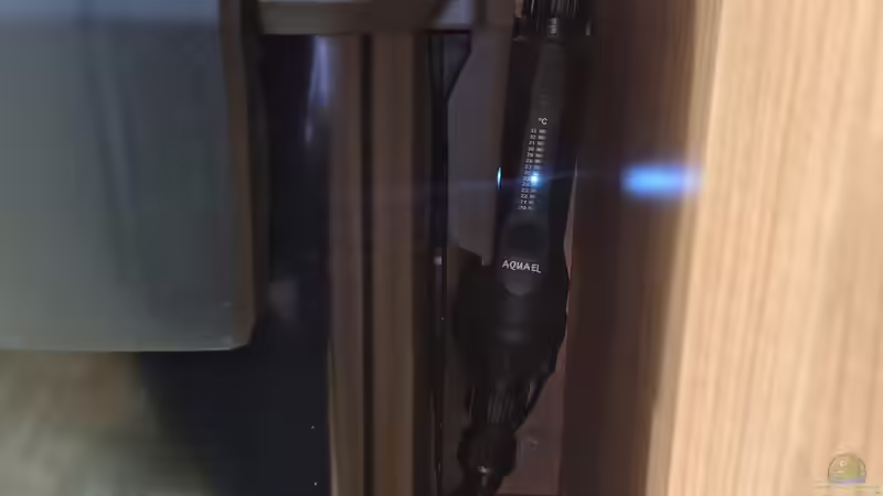  Aquael Flow Heater 2.0 500W am 21.12.2025 von C-NA (32)