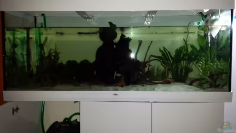  beim Einrichten von AustroTom (4)