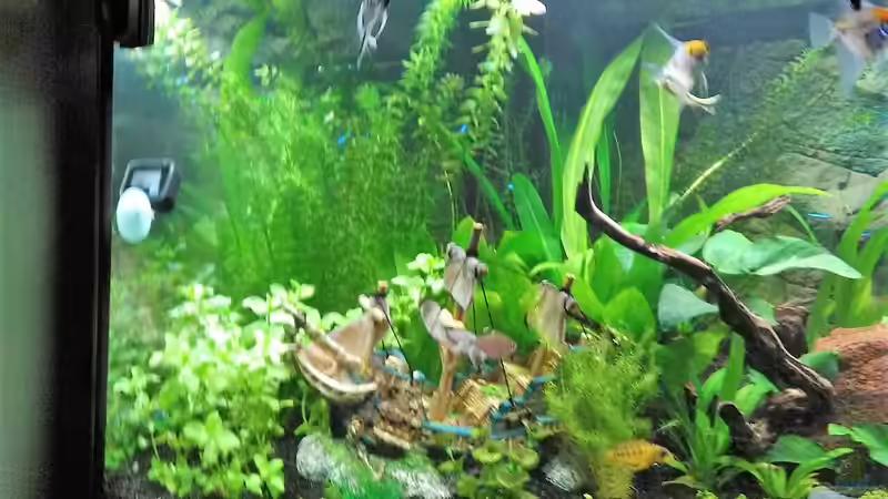  Bild 05.04.2018 von Balou 2013 (19)