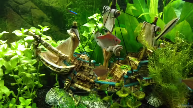  Bild 05.04.2018 von Balou 2013 (21)