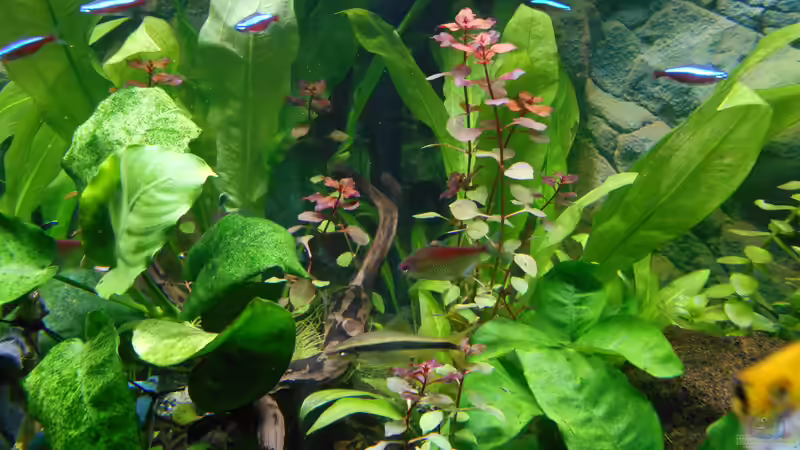  Bild 18.10.2018 von Balou 2013 (12)