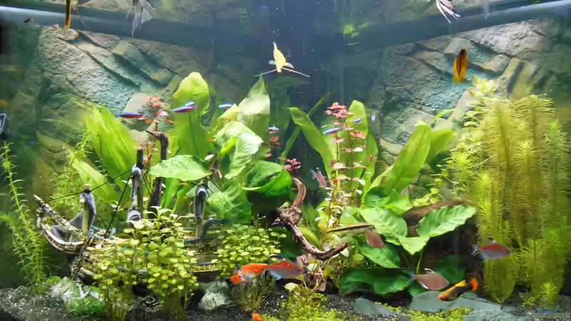  Bild 18.10.2018 von Balou 2013 (14)