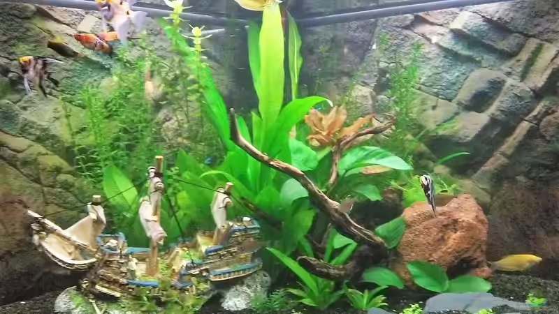  Bild 23.03.2018 von Balou 2013 (26)