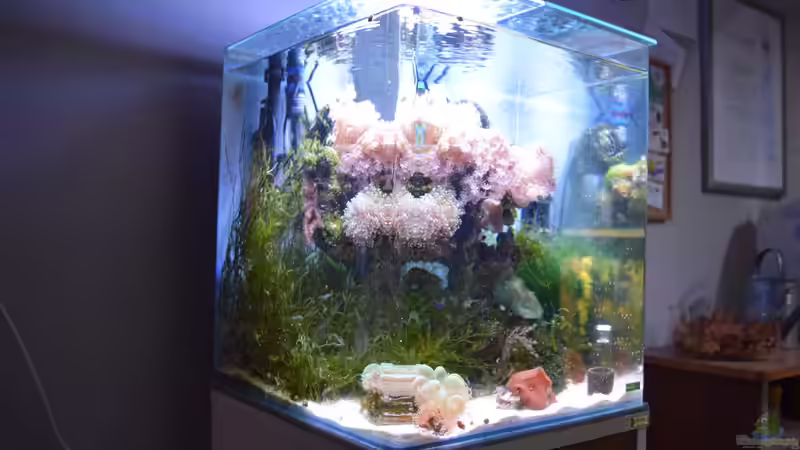  Bild vom 24.12.2015 von Junglist (5)