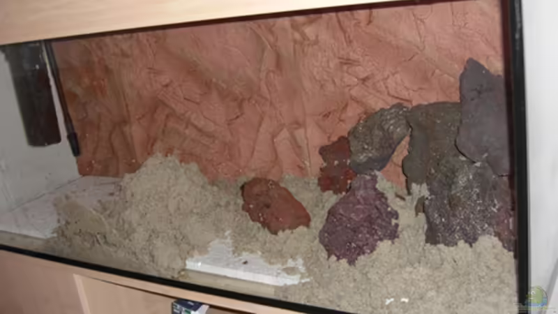  Das Einrichten von Günni (10)