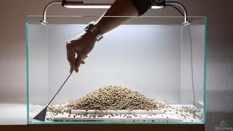  Das Substrat etwas von den Scheiben zurückbefördern.  von Arami Gurami (8)