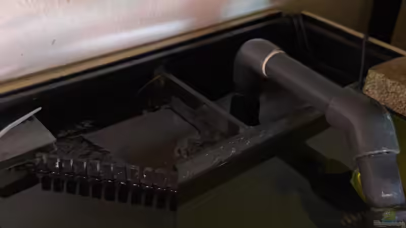  Die zwei Filterkammern mit der Oberflächenabsaugung von Gregorsimsel (17)