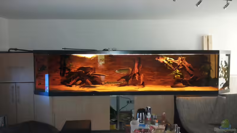  Ein Traum in groß und rochenfreundlich von Kenno (1)