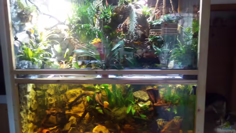  fast fertig von M.G (6)