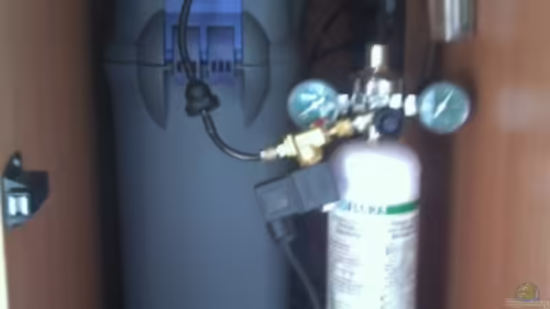 ( Filter Fluval 404 defekt ) u.CO² Anlage Easy-2 JBL von Holger Freiwald (16)