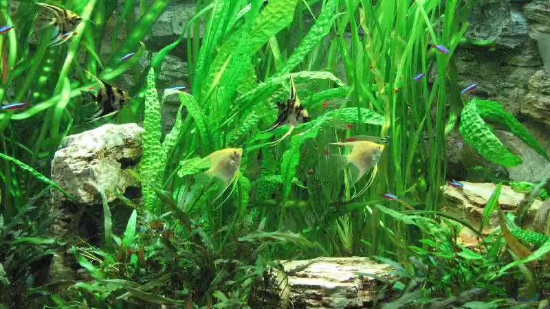  Foto vom 20.09.2009 von Bämbel (10)