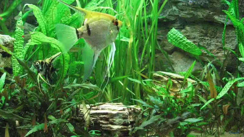  Foto vom 20.09.2009 von Bämbel (8)