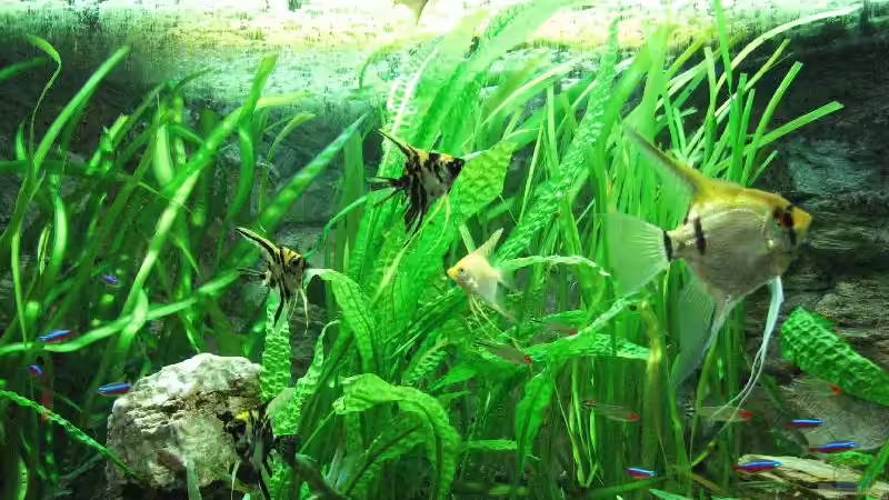  Foto vom 20.09.2009 von Bämbel (9)