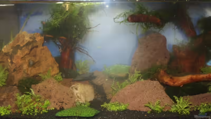  frisch befüllt von SouthAmerica (5)