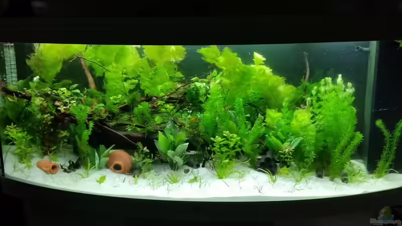  Hauptansicht vom Juwel Vision 450 