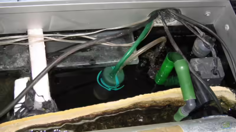  Klarkammer 24x12cm/Heitzung/Pumpe 250 l/h/Ozon von Axel Borck (10)