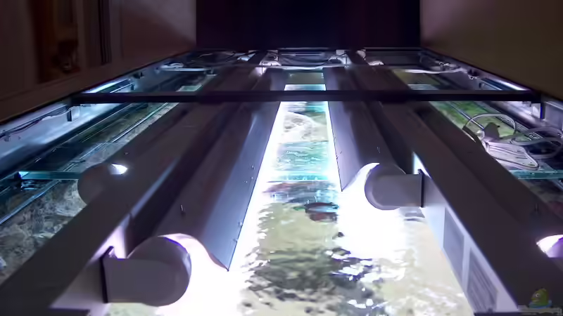  Leuchtbalken in der Abdeckung von Daniel Nimmervoll (13)