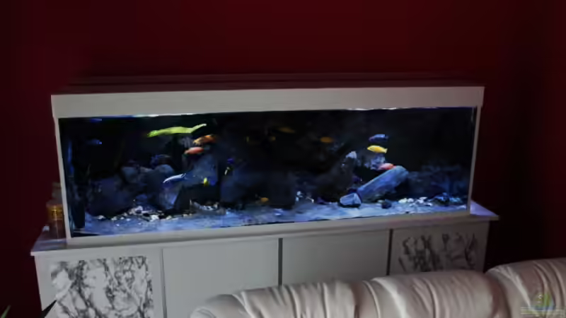  Malawitraum ( Umdekoriert ) von Frank Hopp (1)