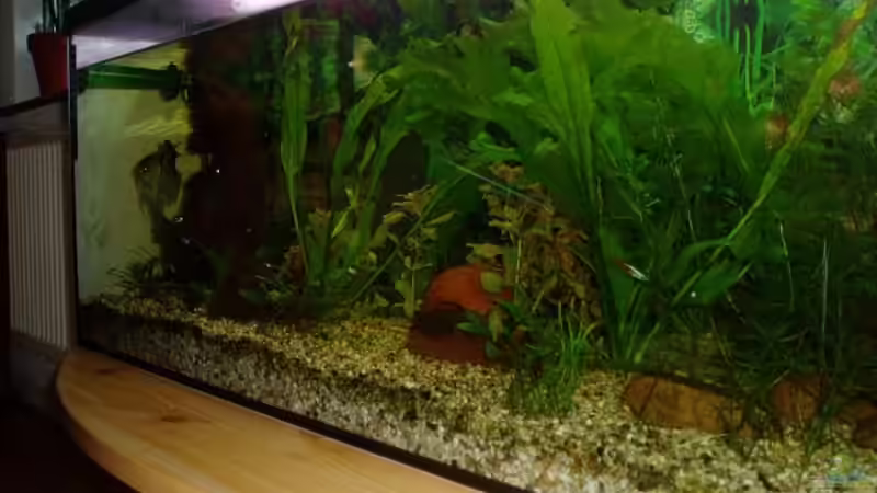 -mein Becken ins Gesamt...