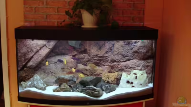  Meine neue Einrichtung! Direktes Sonnenlicht fällt nicht auf das Seitenglas  von Vladi (1)