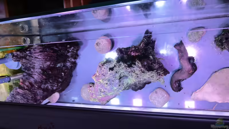  Neues Layout und Beleuchtung von Jens J. (1)