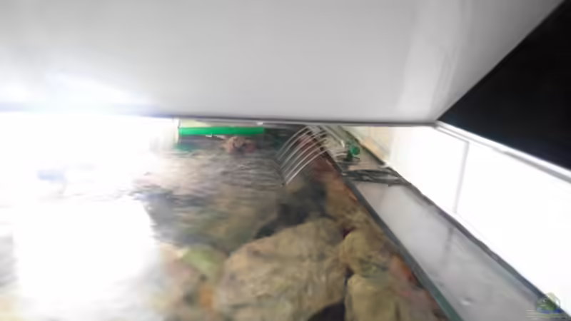  Nitrat-Filterrückführung  von Hedylein (5)