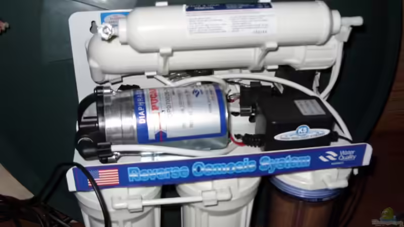  Osmose reserve von Ulrich Sauerhering (55)