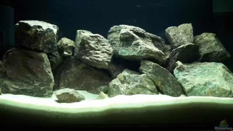 !!! reines Aufzuchtbecken !!! von babyschlumpf (1)