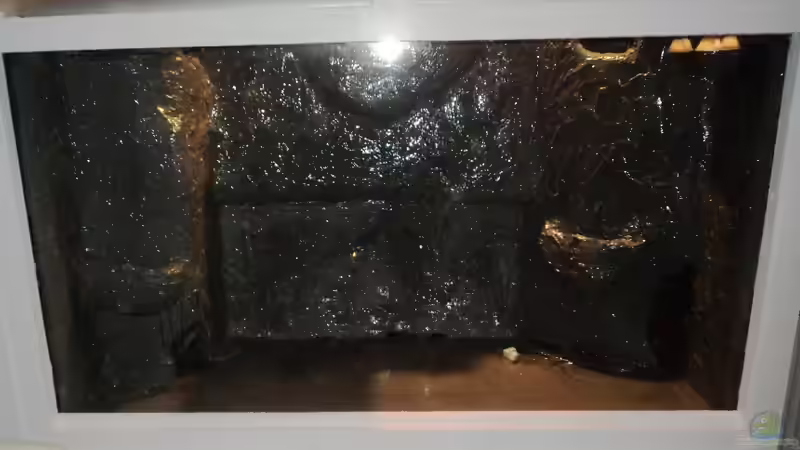  Rückwand mitte 2-3 Schicht Epoxidharz von Michael Boeck (32)