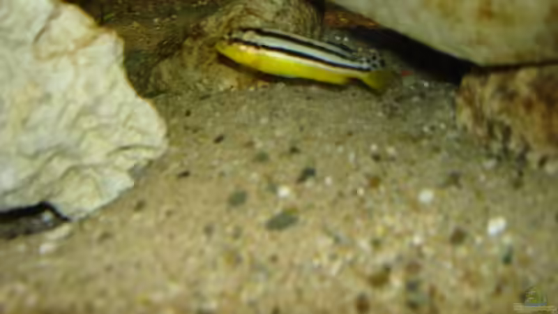  Sand/ Kiesgemisch von Troll (9)