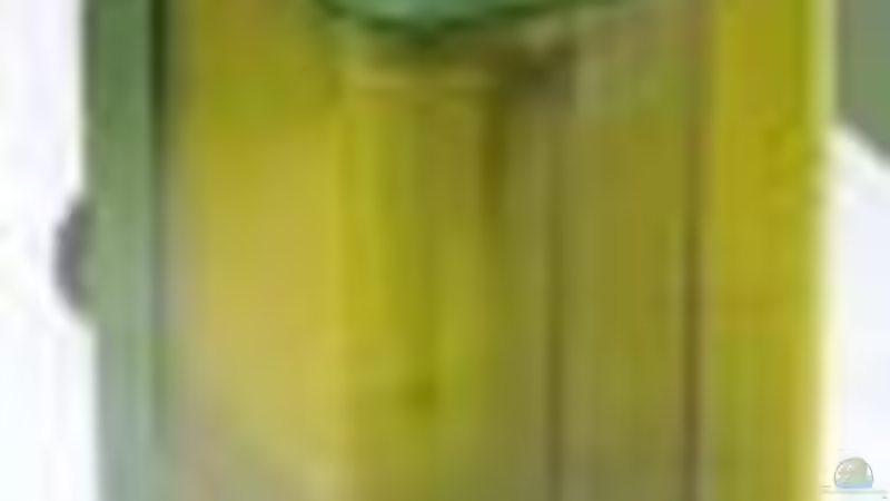  Vitakraft/EHEIM Innenfilter von Tan1th (8)