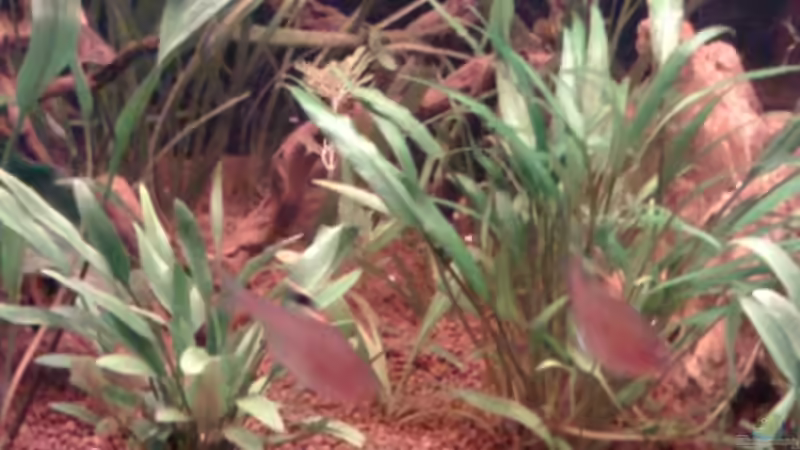 ??? von Jürgen Müller (9)