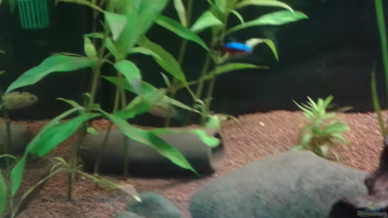 ??? von Kai Heermann (8)