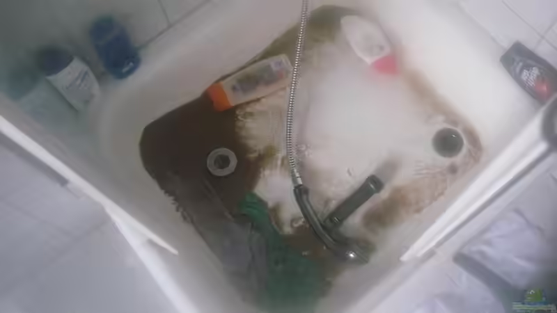  was für ne sauerei:) gut das ich alleine wohne! von Tiburón (5)