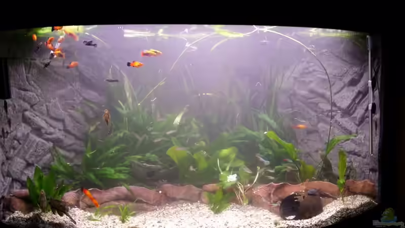  Wasser ist noch trüb von Steffen und Felix (12)