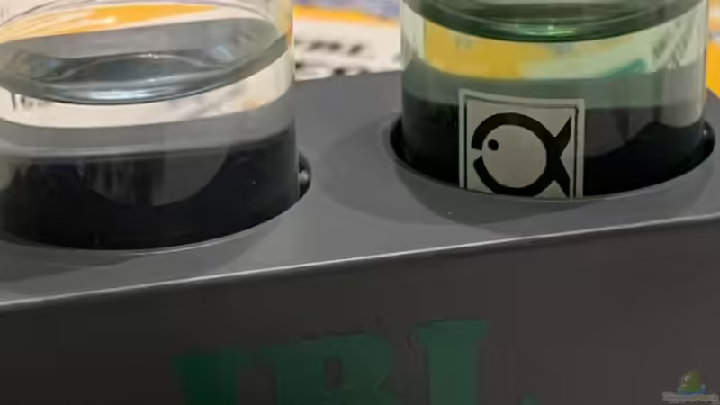 0,8 mg/l Silikat im Aquariumwasser von ernst11 (31)